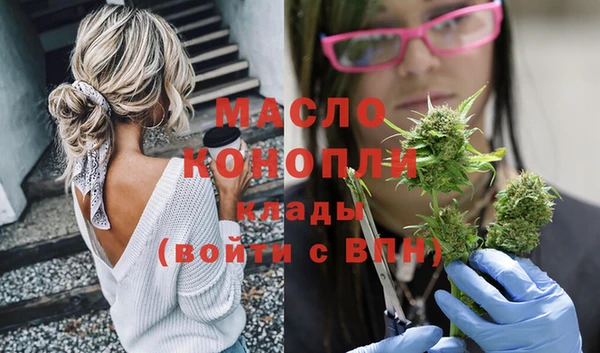 индика Абинск