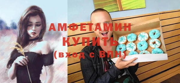 индика Абинск