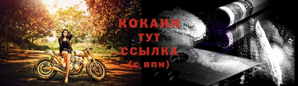 индика Абинск